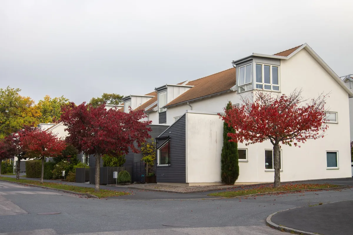 Modern suburban Australian home representing property requiring insurance coverage