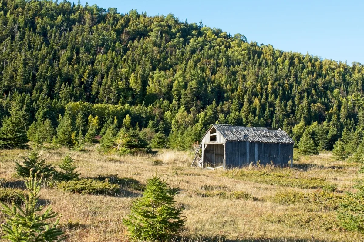 A residential home exterior surrounded by vegetation
