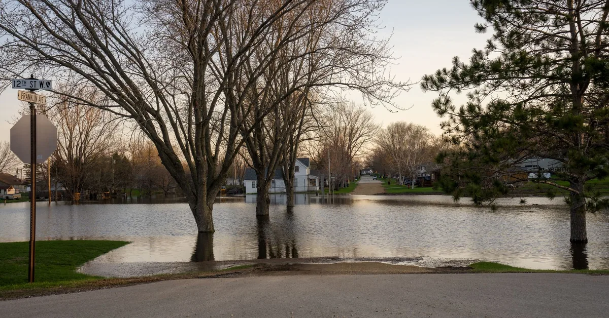 Insurance policy documents and paperwork representing flood coverage review