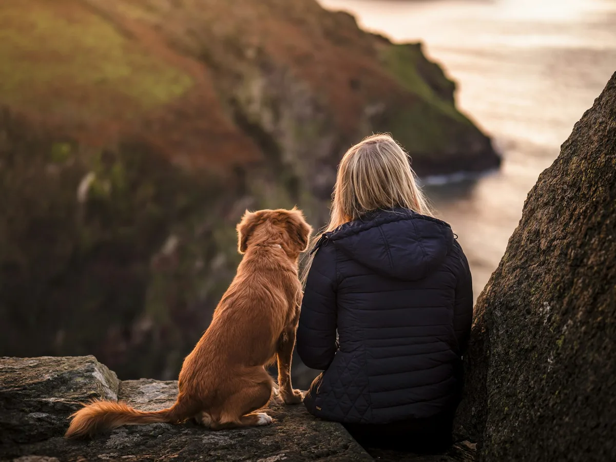 A healthy pet dog sitting beside its owner