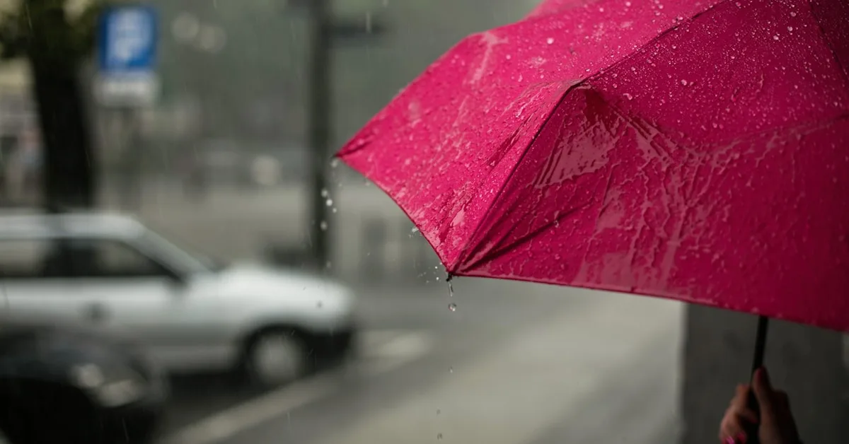 An umbrella providing protection against rain, symbolizing insurance coverage